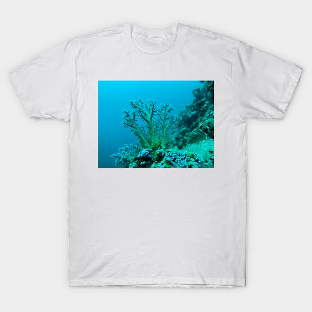 coral reef and coral - underwater T-Shirt by likbatonboot